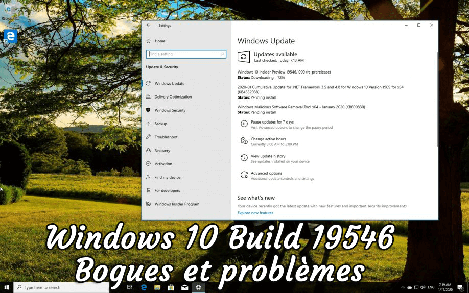 Windows 10 Build 19546 Bogues et problèmes