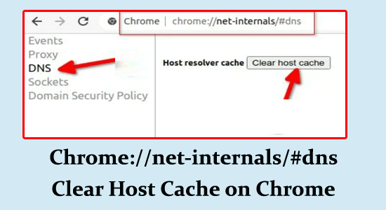 Chrome://net-internals/#dns Effacer le cache de l'hôte